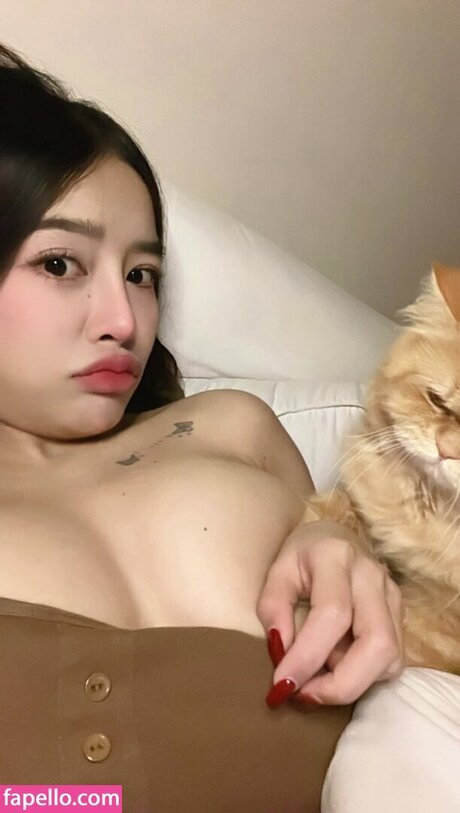 caxeks 限定モデル 画像