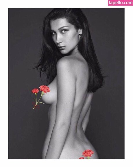 bellahadid 美しいスター 画像