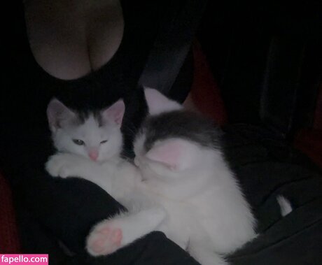 avgella HD女優 画像