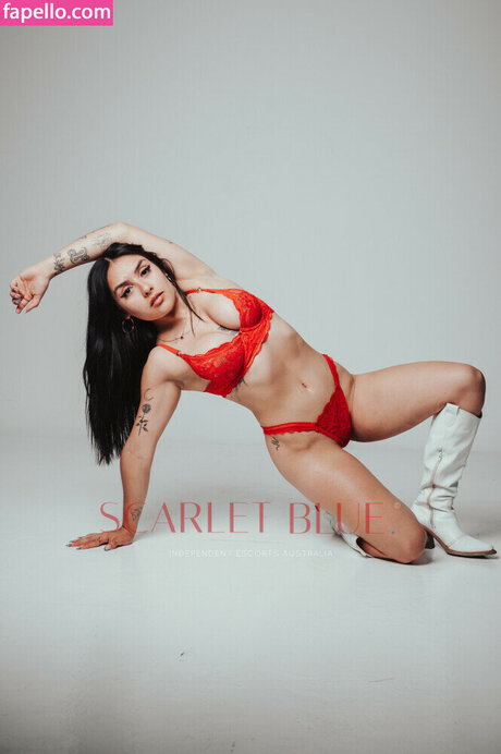 Sandra Bennett HDスター 画像