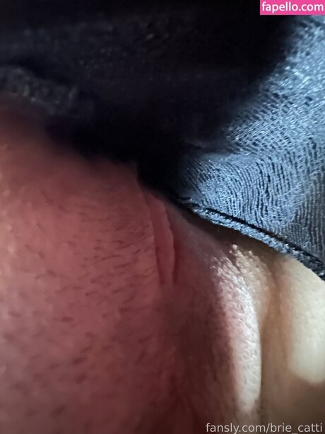 Brie cattii 無料のポルノスター 写真