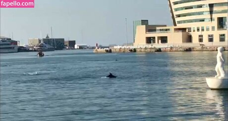 大学生のティーンオンリーファン 裸 アーカイブ