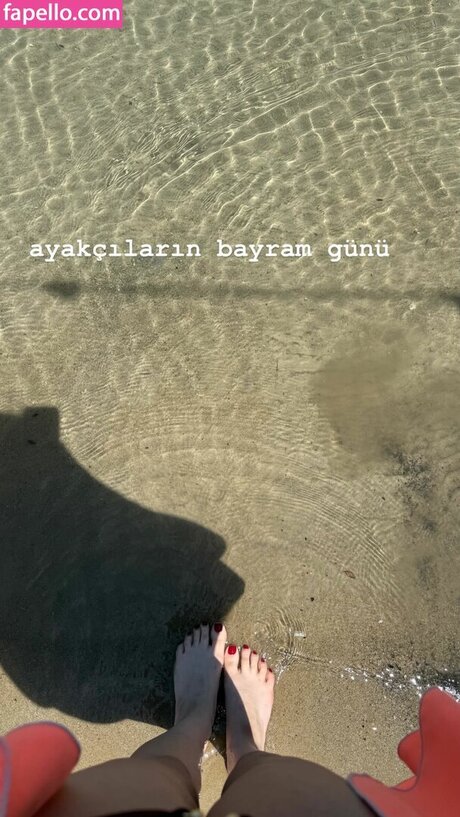 Deniz Ba da_ ポルノスター パーフェクト ギャラリー