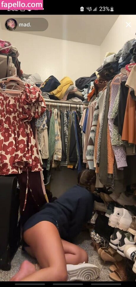 madisons the shit xxxスター 写真