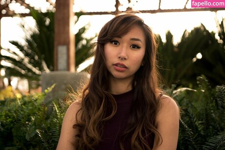 Sophia Phan アダルトスター 写真