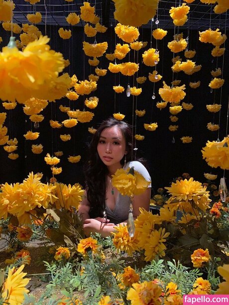 Sophia Phan セックスモデル 画像