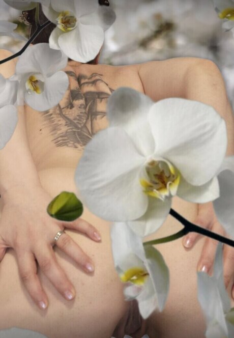 Dot Addams ヌードモデル 画像