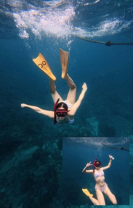 dalcompeach 最高のポルノスター 画像