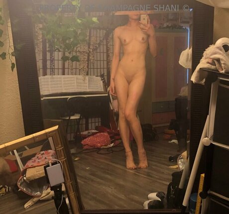 Allison Yellow ヌードスター ギャラリー