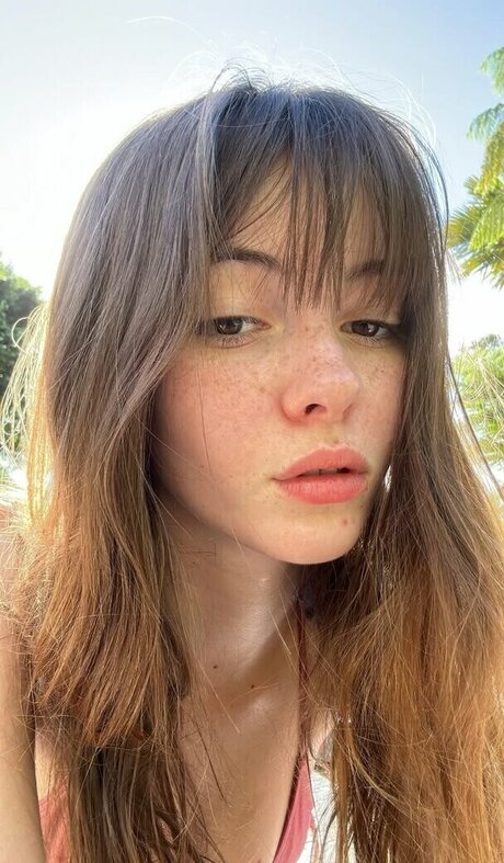 Sephira Lily Street HDモデル 画像