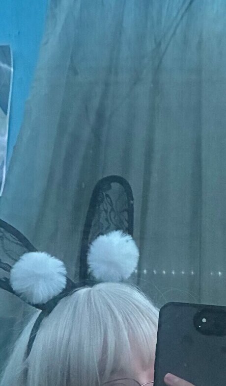 cy aannn HDモデル 画像