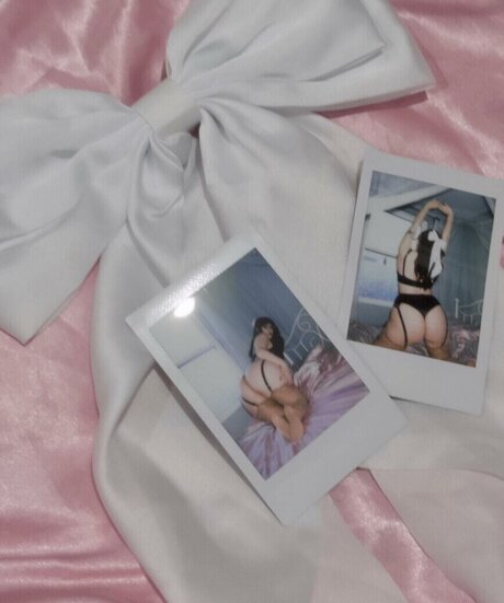 saint miau 素敵なスター 写真