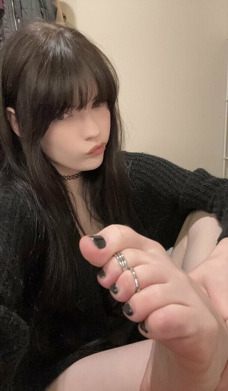 isizzly 高品質スター 写真