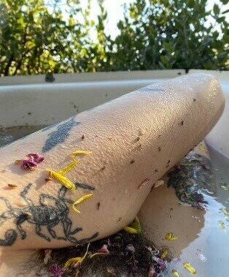 Aralia Hunt ポルノスター アート 写真