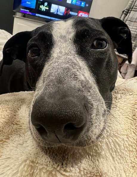 Leeza 裸モデル 写真