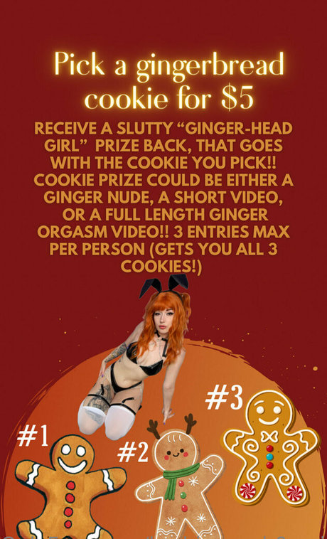 herbivorewh0revip HD女優 画像