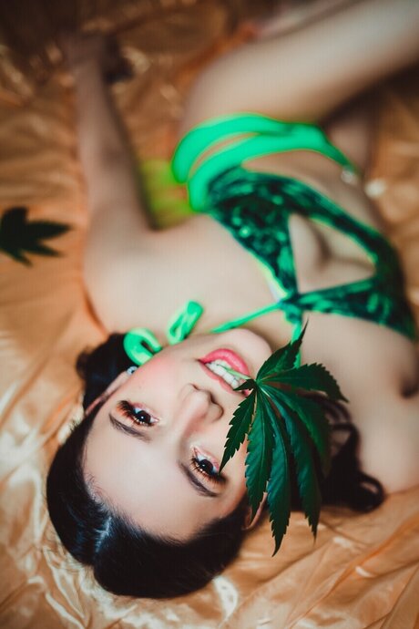 Stella Virgin HDスター 画像