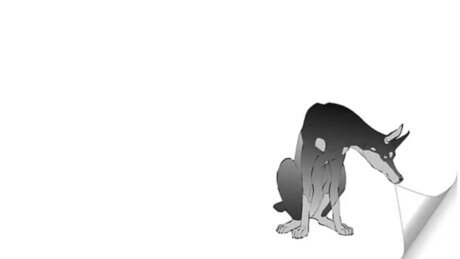 ponie_ 高品質モデル ギャラリー