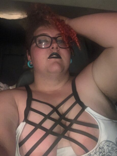 Ryspice HDモデル 写真