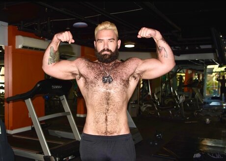 Moose ポルノスター ギャラリー