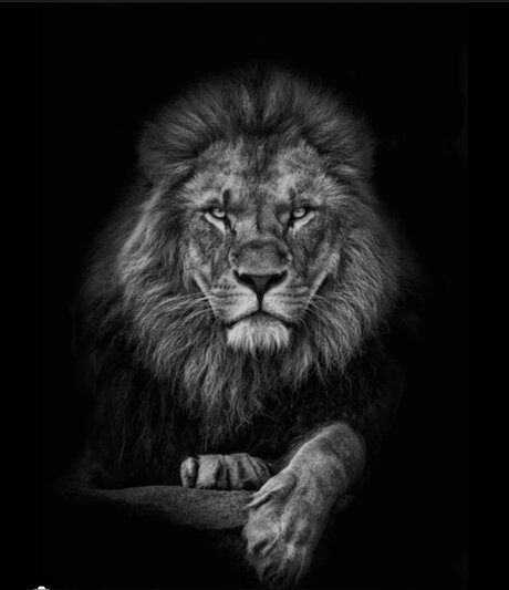 Cachondo19 トップスター 写真