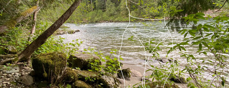 Bethany Harper 完璧なスター ギャラリー