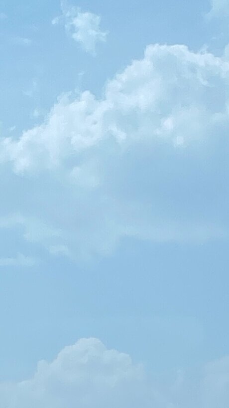 Zee 完璧なモデル ギャラリー