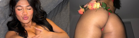 Daisy Velasquez_ エロティック女優 画像