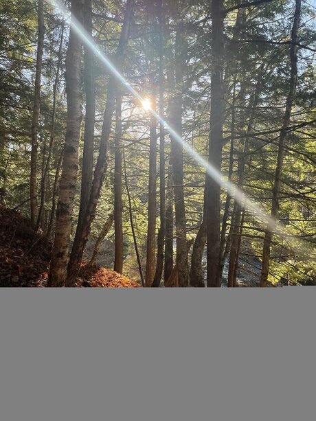 caleb gallo アートスター 写真