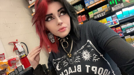 Dahlia Sunflower 限定モデル 写真