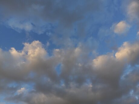 Loring 美しいポルノスター アーカイブ