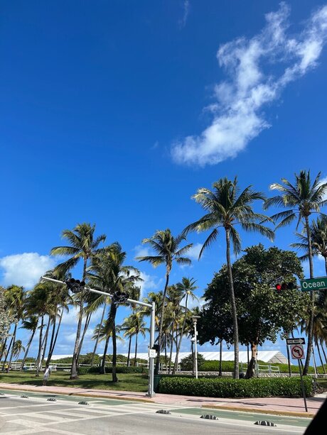 _Jilliana HDスター ギャラリー