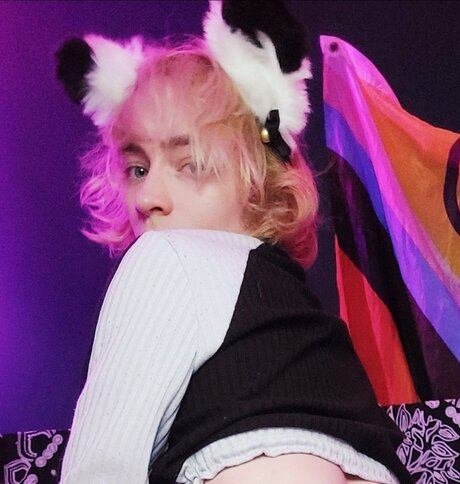 Lance Femboy 完璧なスター 画像