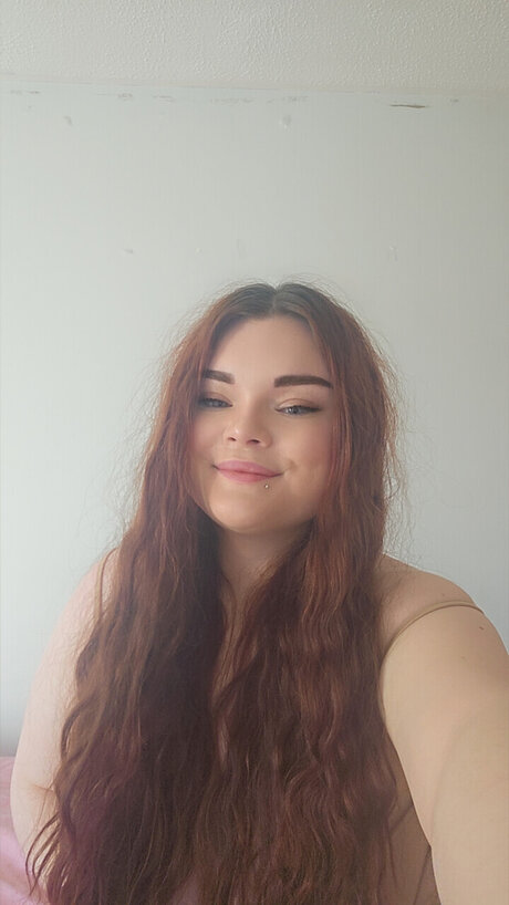 _amp amp_ 限定モデル アーカイブ