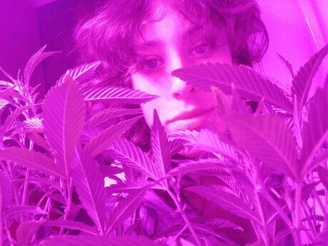 Danae 無料のスター ギャラリー