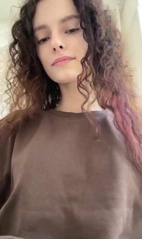 Nestix モデル ギャラリー