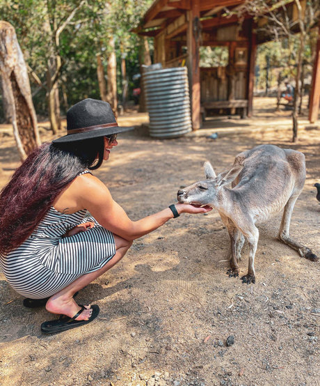 aspenrae HDモデル 写真