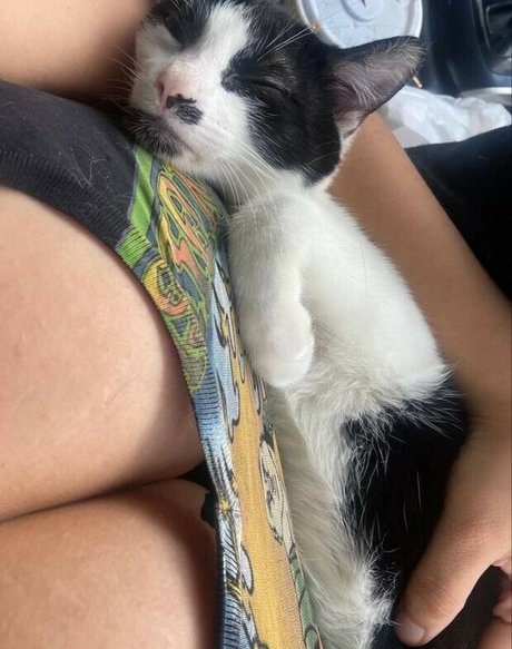 Uculdcme ホットモデル アーカイブ