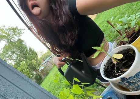 littlered08 美しいモデル 写真