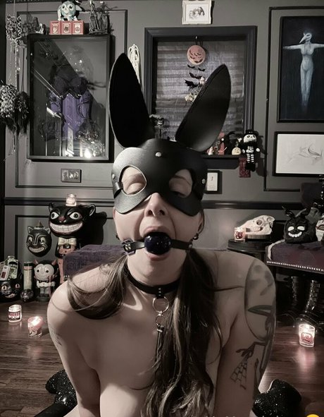 ripley1111 アダルトスター 写真