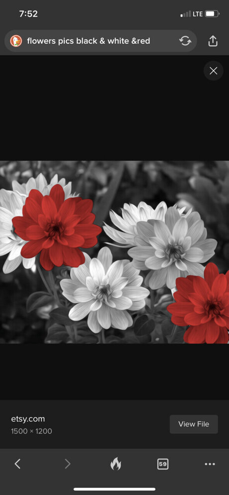 Reginalynn アートスター 写真