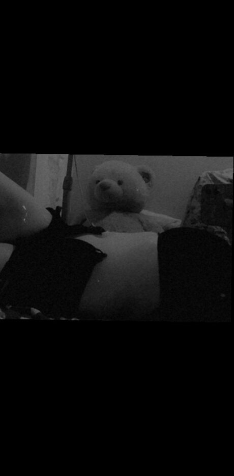 Sun and Moon 最高のスター 写真