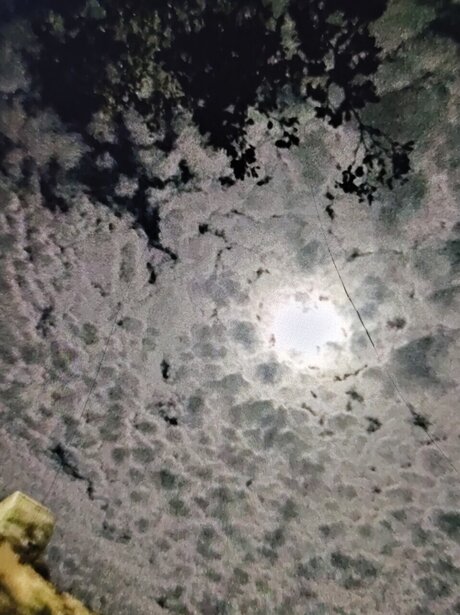 Hellie_ ヌード女優 写真