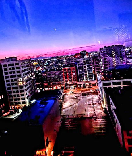 PansexualPlayboy ポルノスター ギャラリー