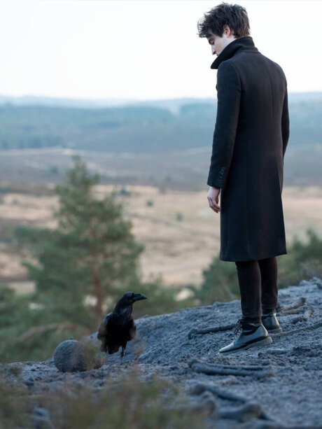 Mr White 無料のスター 写真