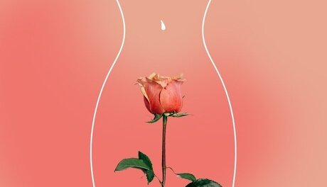 BabyT_ セックスモデル 写真