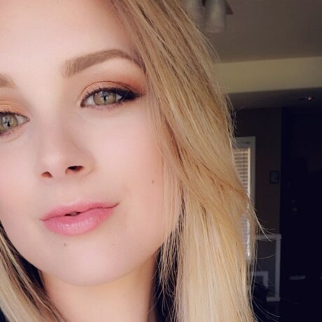 Little Mis Fox HDモデル 画像