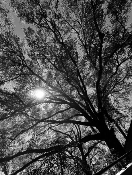 retr04ctive ポルノスター ベスト アーカイブ