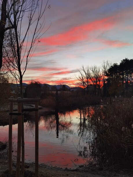 BlueGirl 独占モデル 写真