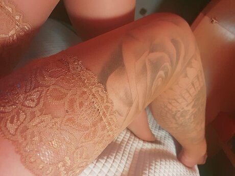 DMV オンリーファン 無料ヌード 画像